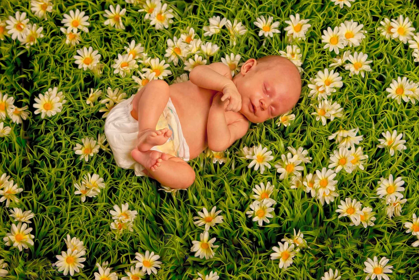 Baby- und Kinderfoto aus dem Fotostudio von Delf Zeh in Erfurt – Beispiel 23