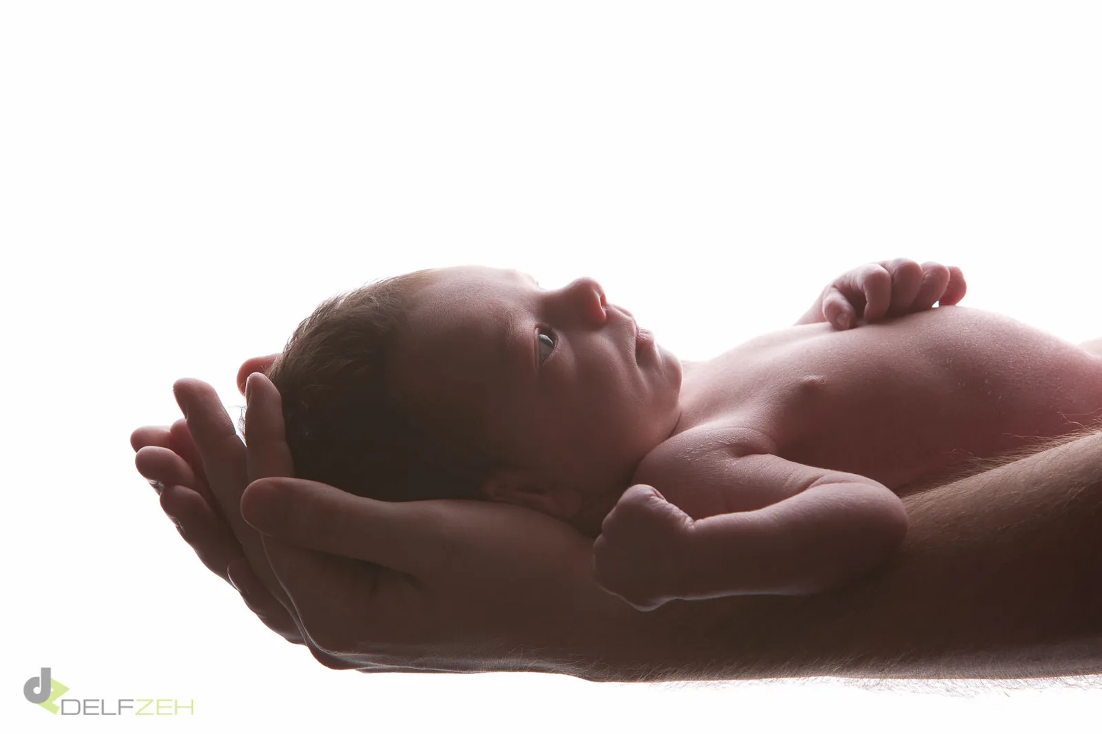 Baby- und Kinderfoto aus dem Fotostudio von Delf Zeh in Erfurt – Beispiel 25