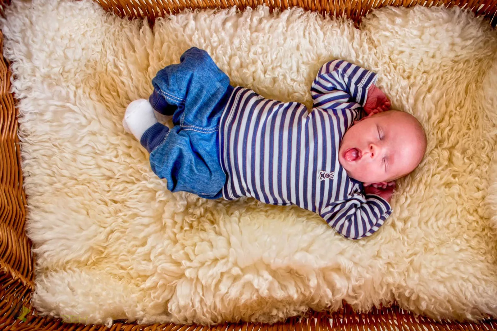 Baby- und Kinderfoto aus dem Fotostudio von Delf Zeh in Erfurt – Beispiel 35