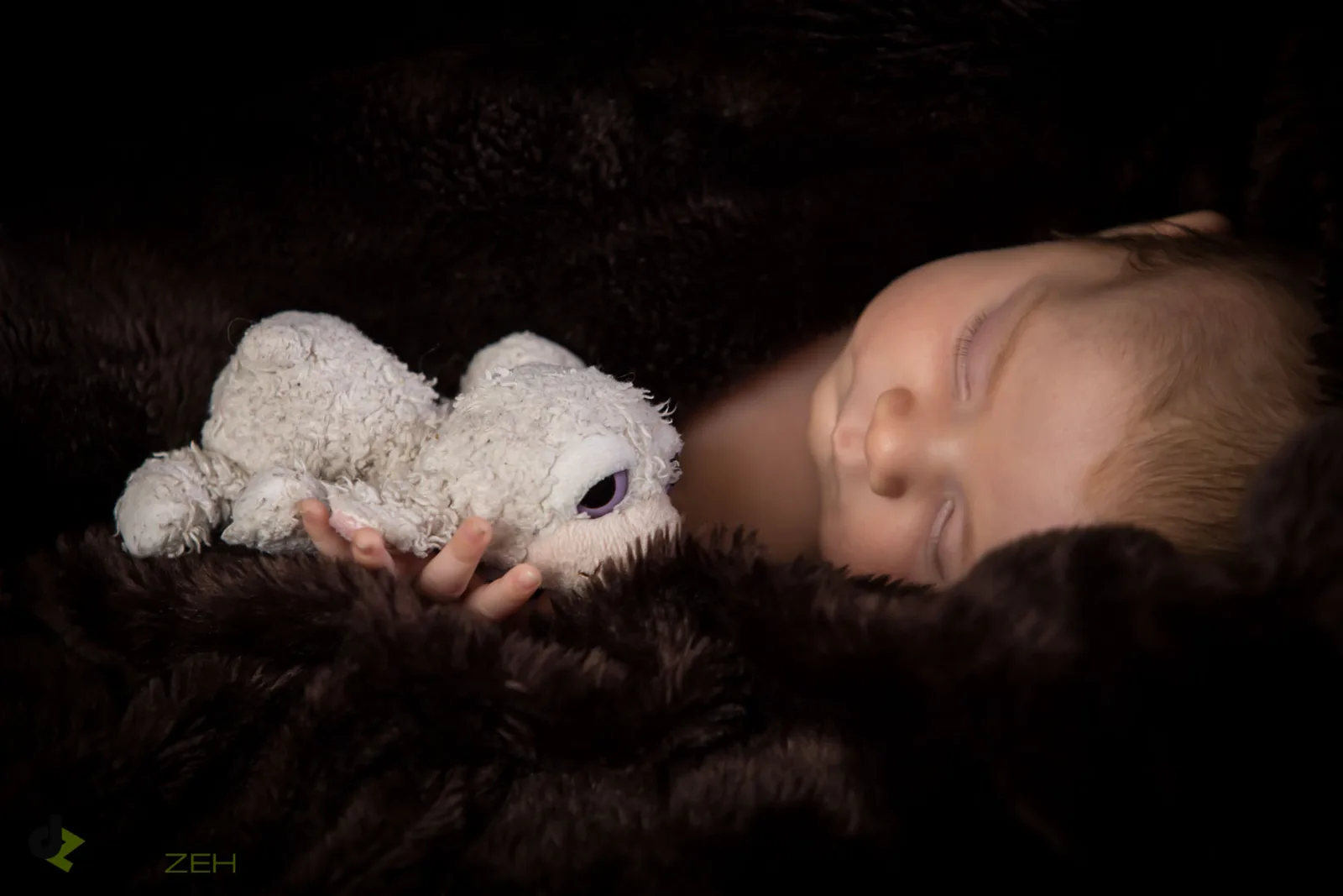 Baby- und Kinderfoto aus dem Fotostudio von Delf Zeh in Erfurt – Beispiel 37