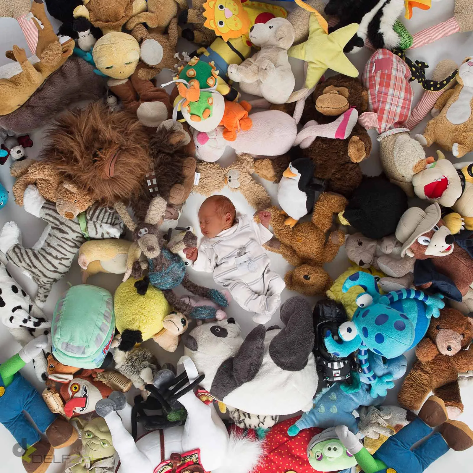 Baby- und Kinderfoto aus dem Fotostudio von Delf Zeh in Erfurt – Beispiel 41