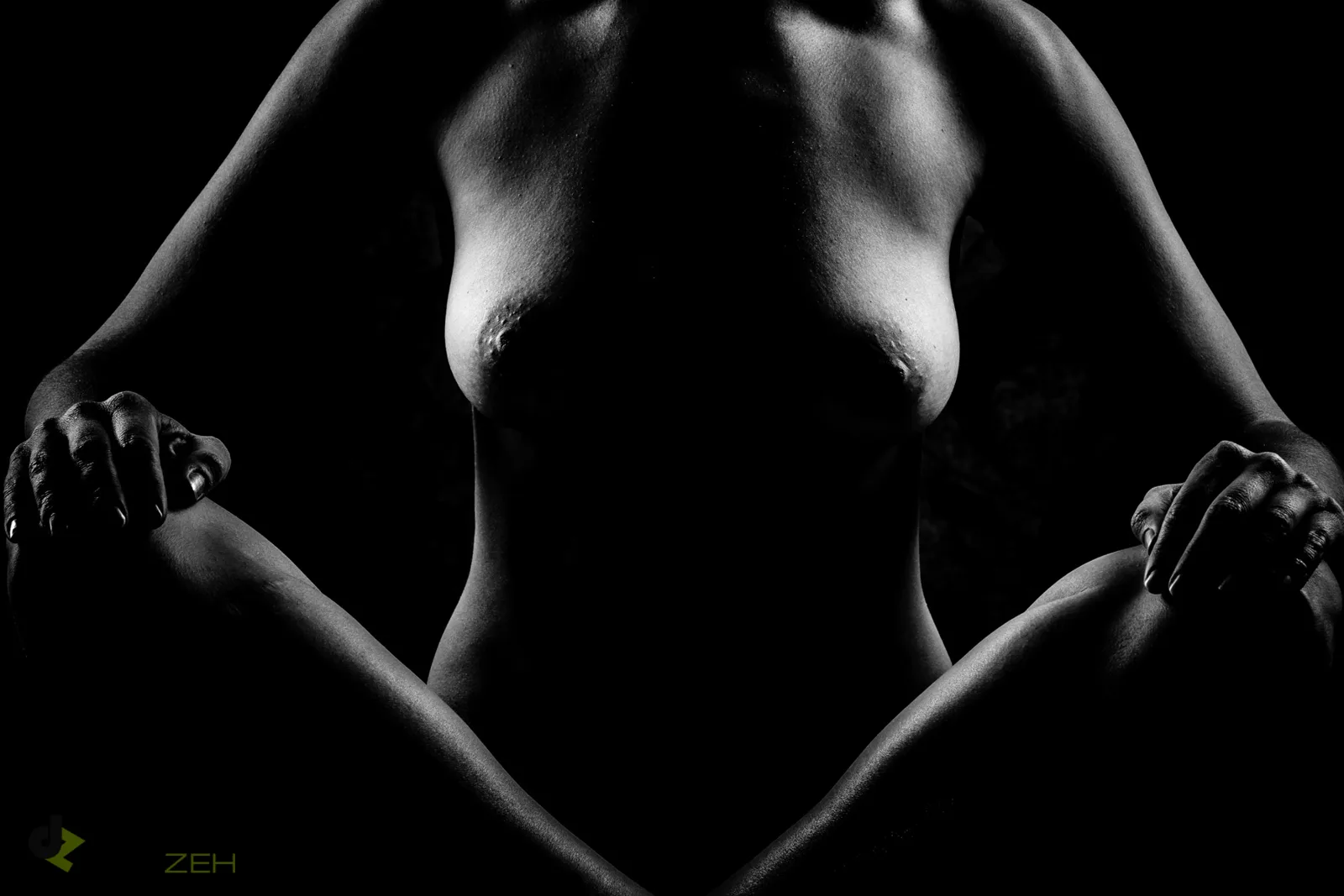 Aktfoto aus dem Fotostudio von Delf Zeh in Erfurt – Beispiel 6