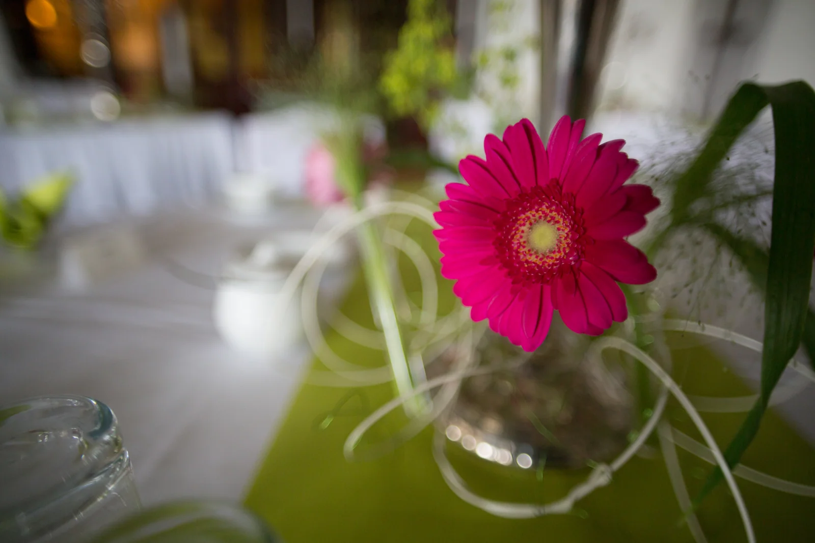 Pinke Blüte als Detail der Tischdekoration – Hochzeit von Antje und Martin auf dem Schlossberg in Sonneberg