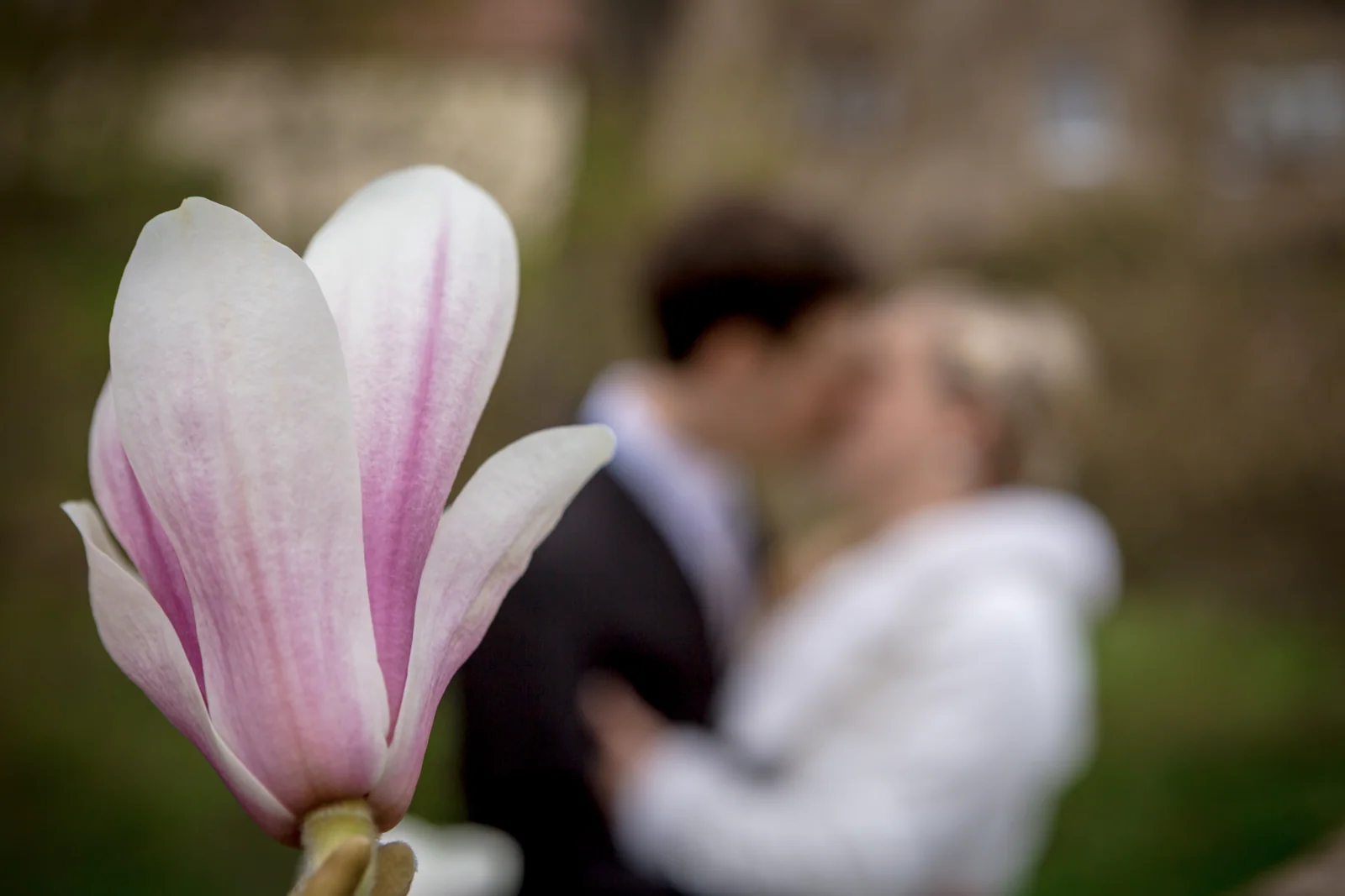 Eine Blüte im Vordergrund und das Brautpaar dahinter – Hochzeitsreportage von Magdalena und Stefan