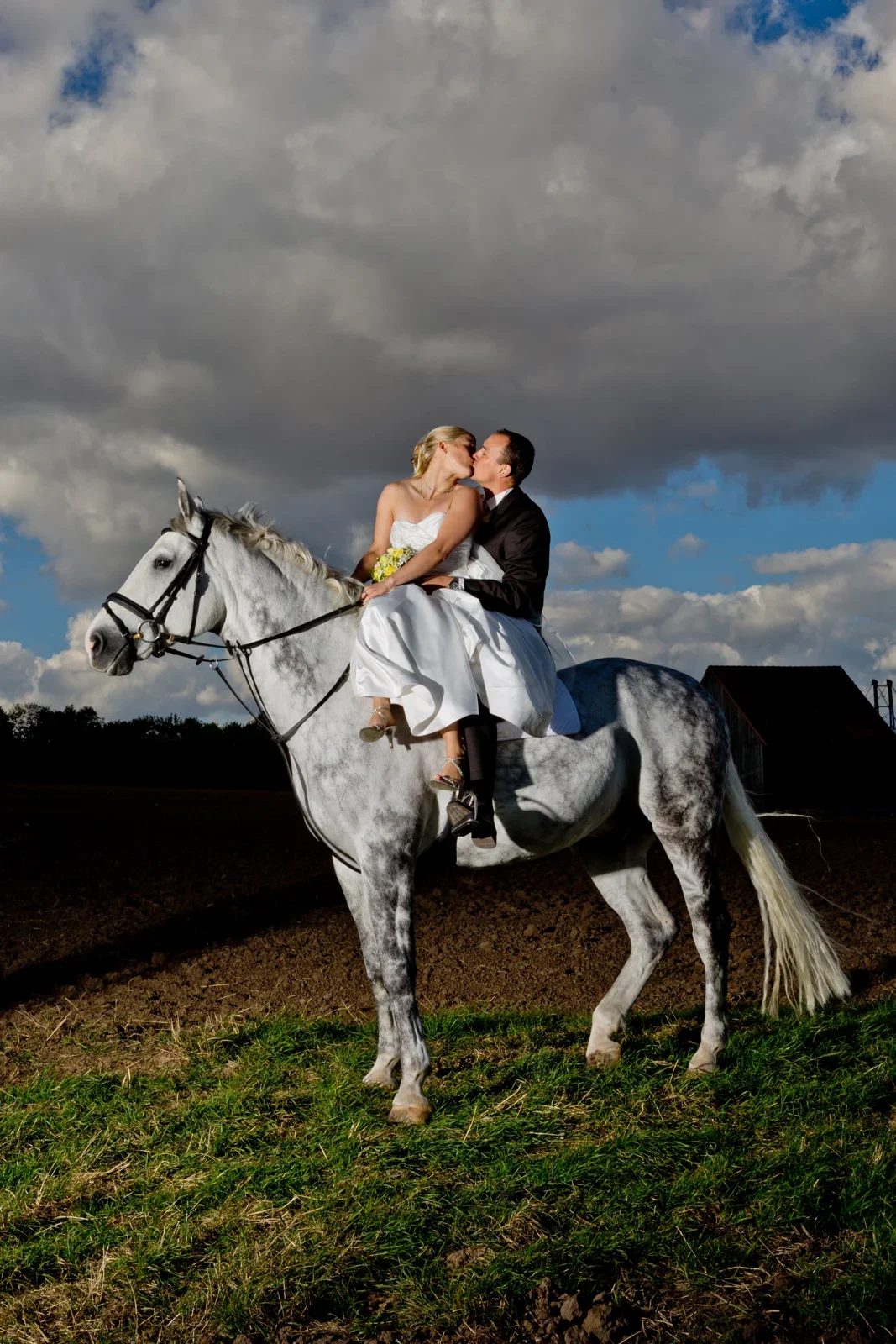Ein Kuss neben Johannas Pferd – Hochzeit von Johanna und Bryan