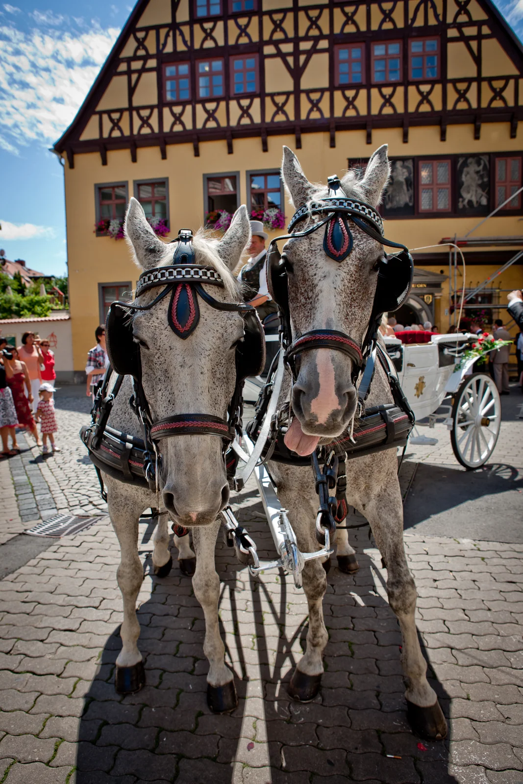Die Hochzeitskutsche wartet in der Erfurter Altstadt – Hochzeitsreportage von Sandra und Lars
