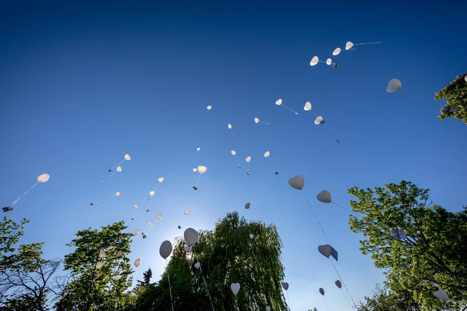 Luftballons mit Wünschen steigen in den blauen Himmel – Hochzeit von Katja und Ulrick in Großrettbach