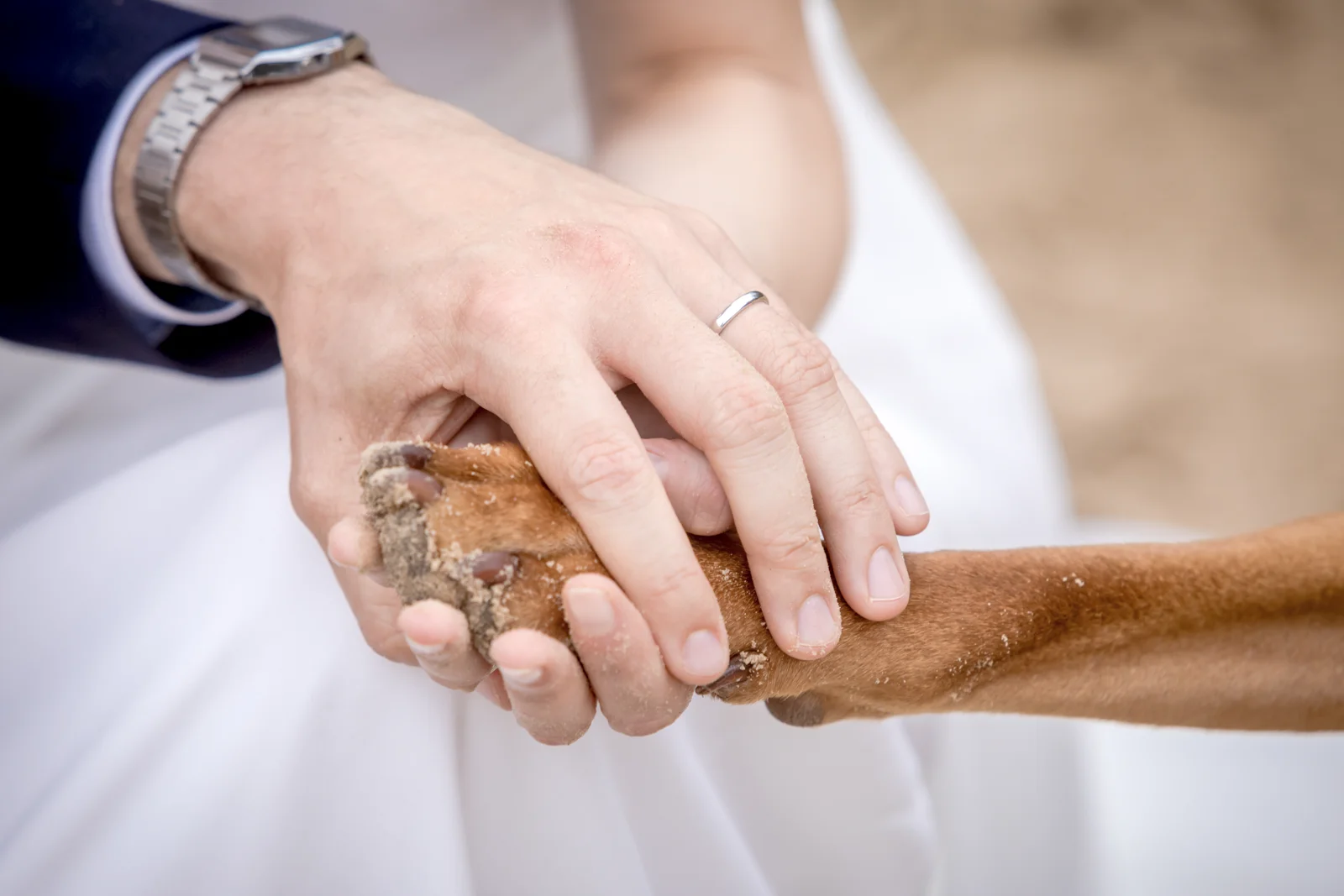 Pfote und Ehering – Hochzeit von Hannah und Martin in Rellingen und Wedel