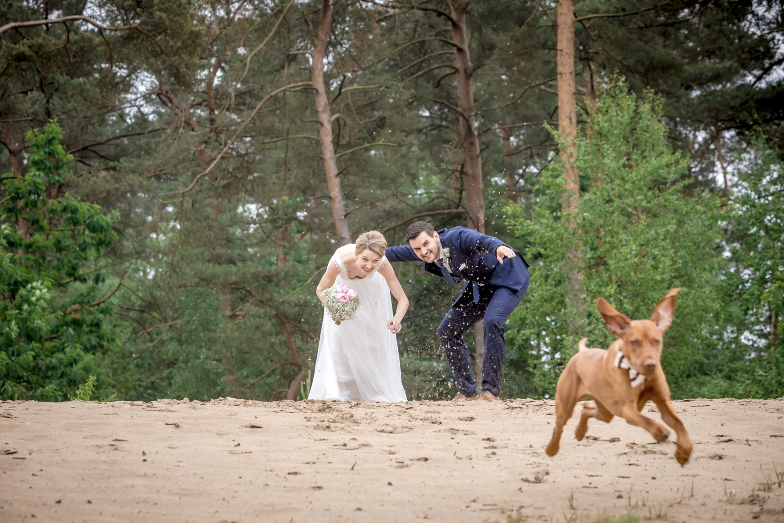 Der Hund läuft der Kamera entgegen – Hochzeit von Hannah und Martin in Rellingen und Wedel
