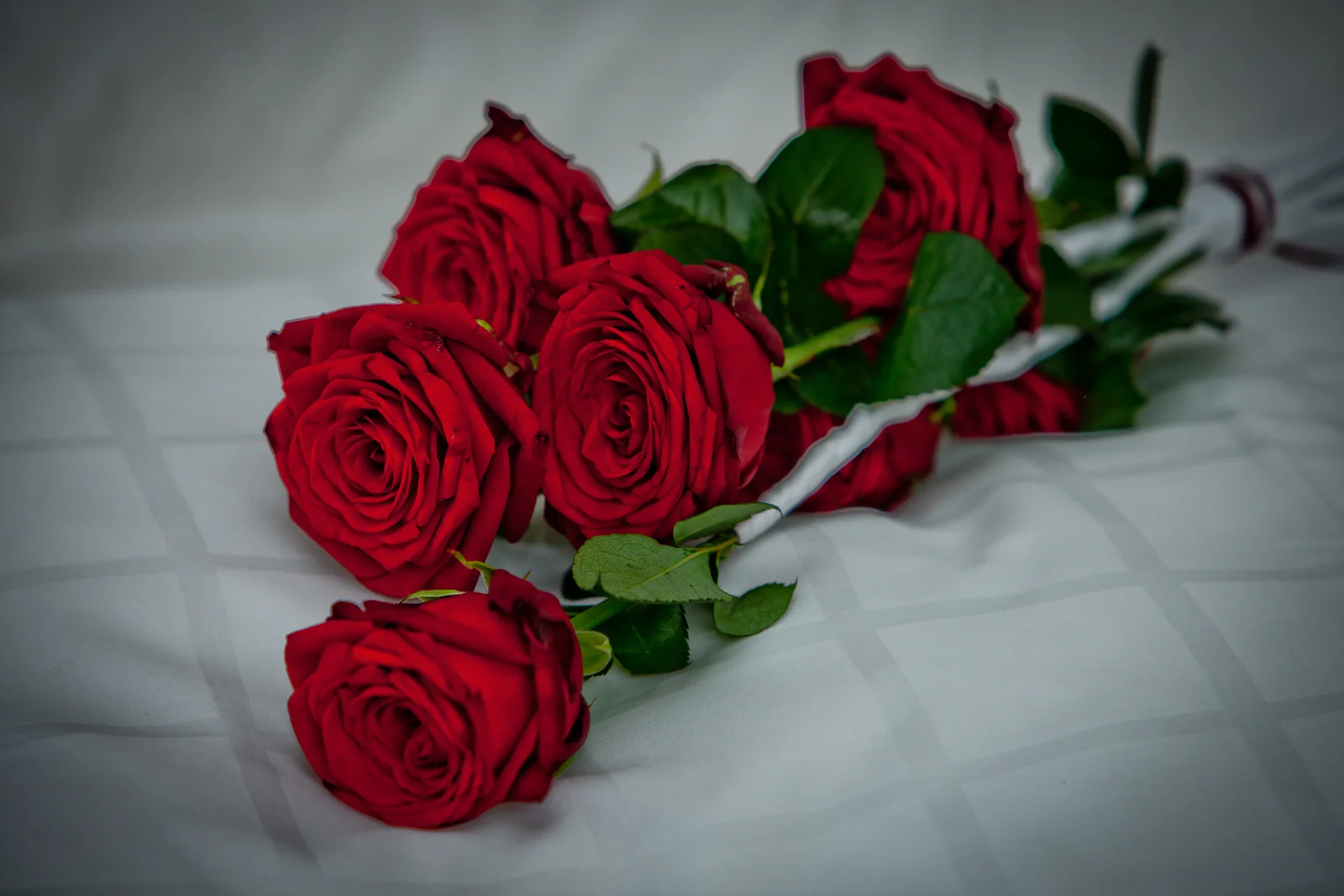 Rote Rosen für den Hochzeitstag – Hochzeitsreportage von Vanessa und Sebastian