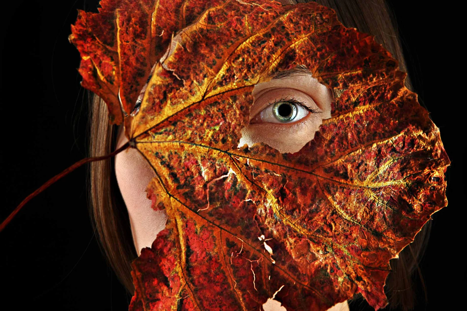 Kreatives Portrait mit einem Auge hinter einem Herbstblatt